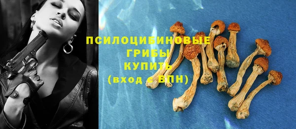 соль ск Абдулино