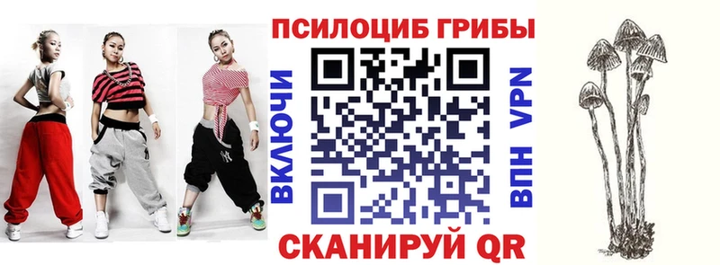 Псилоцибиновые грибы мицелий  где купить наркотик  Иланский 